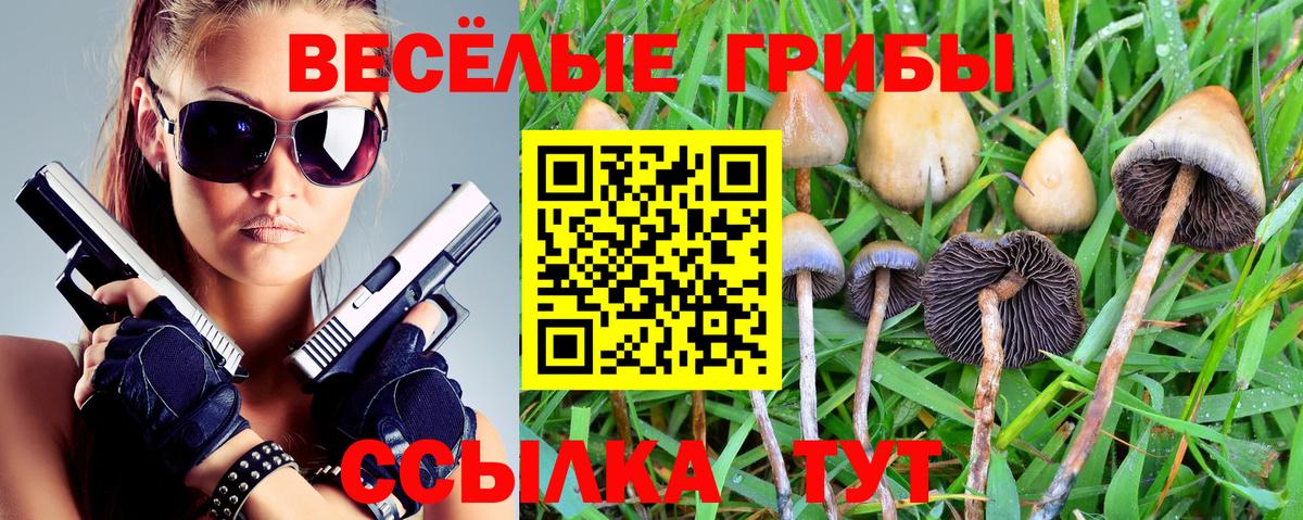 Галлюциногенные грибы ЛСД  Псилоцибиновые грибы мицелий  Усть-Джегута  Вход с VPN 